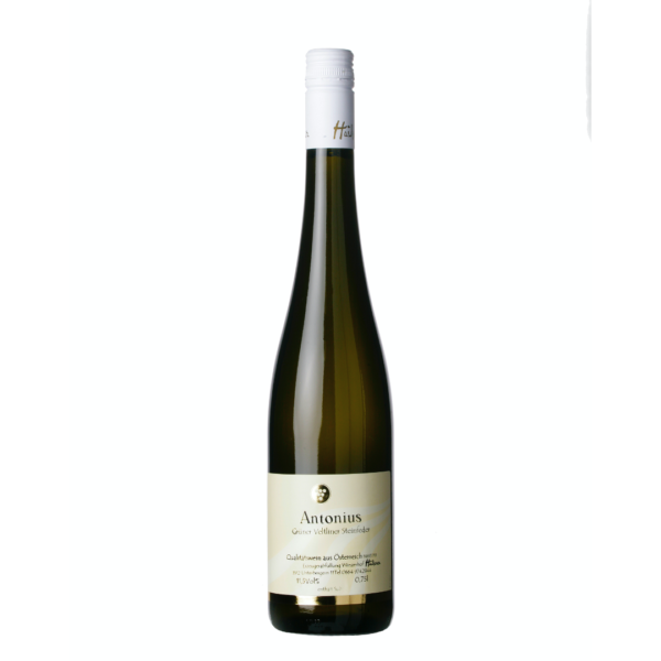 Grüner Veltliner Antonius 2020